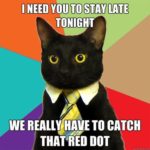 http-mashable-com-wp-content-gallery-catmemes-business%20cat