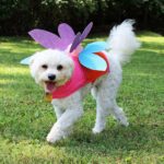 original_camille-smith-fairy-dog-costume-phoebe-beauty-jpg-rend-hgtvcom-966-725