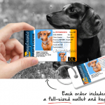 dogdriverslicensetag