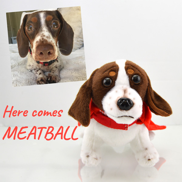 meatball stuffed animal