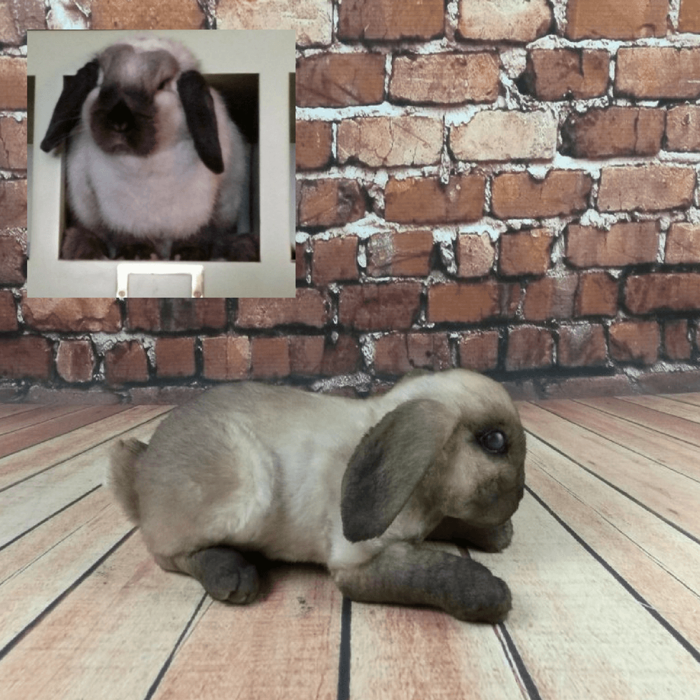 lifelike stuffed bunny