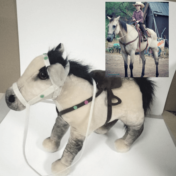 pet pictures into stuffed animals