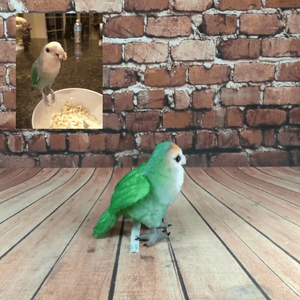 Download Bird Stuffed Animals Bird Plushies My Petsies