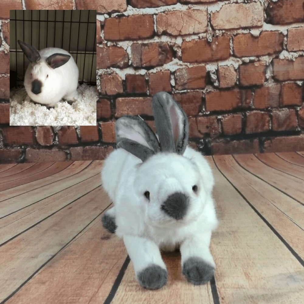 custom rabbit plush