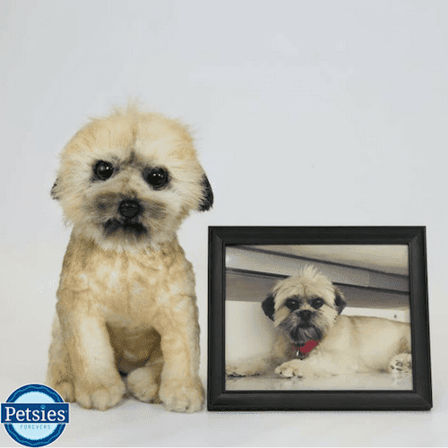 black and white shih tzu stuffed animal