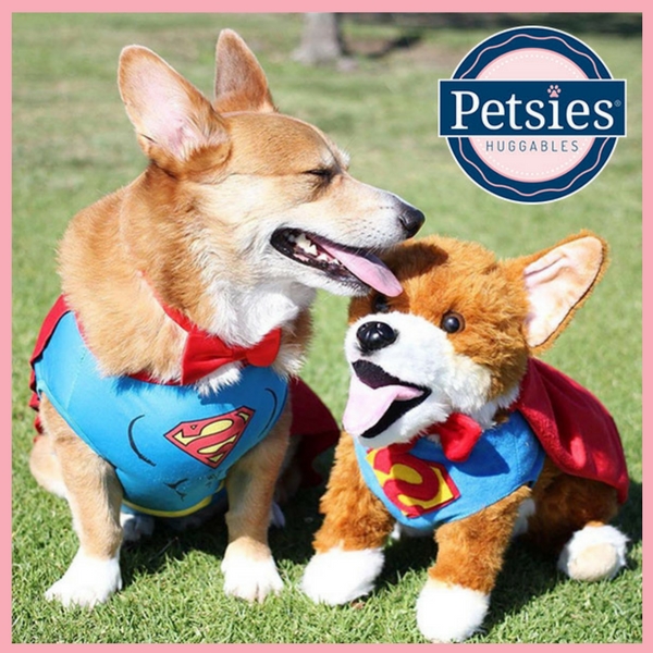 pet pictures into stuffed animals