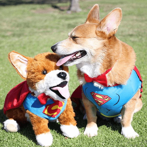 stuffed corgi puppy