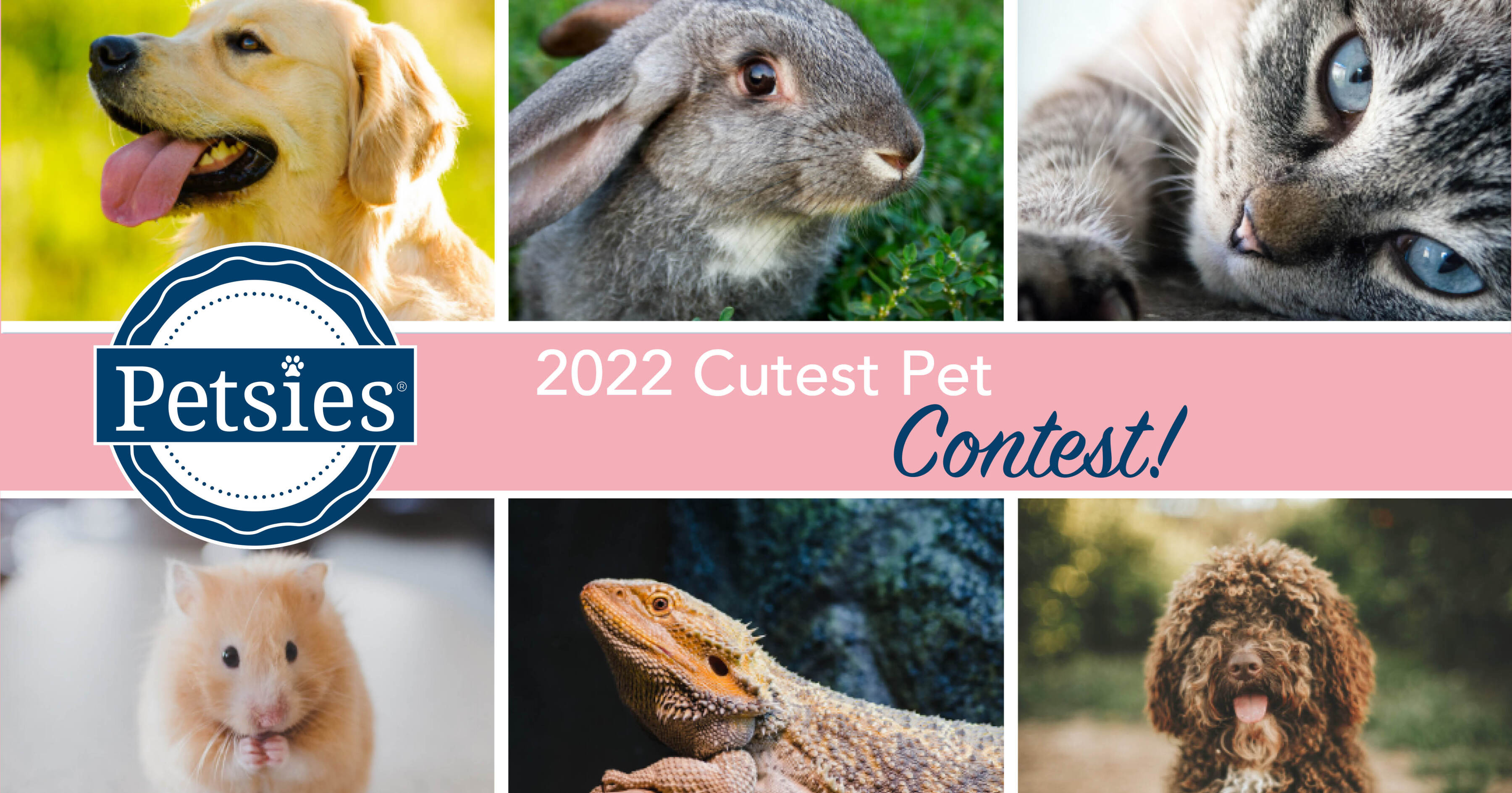 Petsies Cutest Pet Contest