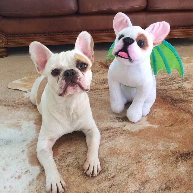 stuffed french bulldog