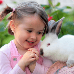 realistic rabbit stuffed animal