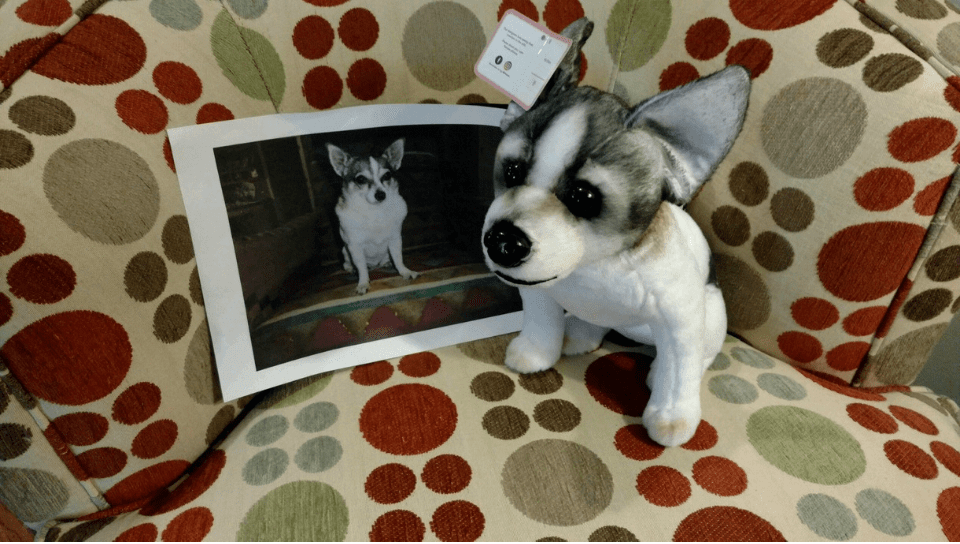 stuffed dog for dementia patients